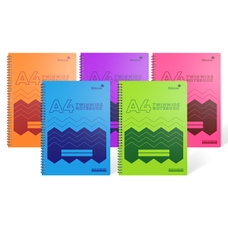 Silvine Polyprop Notebooks - Assorted - A4 - Pack of 5